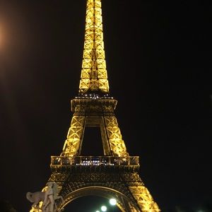 Meet your Posher, Shelby